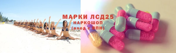 прущие грибы Алзамай