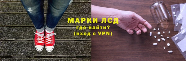 прущие грибы Алзамай
