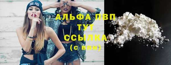 спайс Няндома