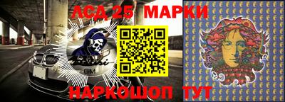 гидропоника Тверь