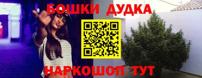 гидропоника Тверь