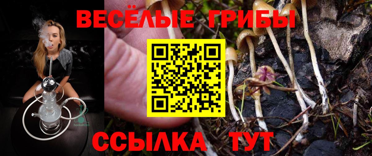 Псилоцибиновые грибы GOLDEN TEACHER  Вход с VPN  Псилоцибиновые грибы мухоморы  Усть-Лабинск 