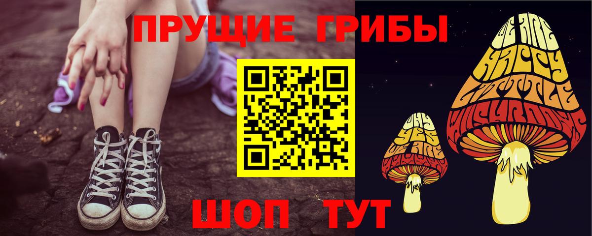 Псилоцибиновые грибы мицелий Усть-Лабинск